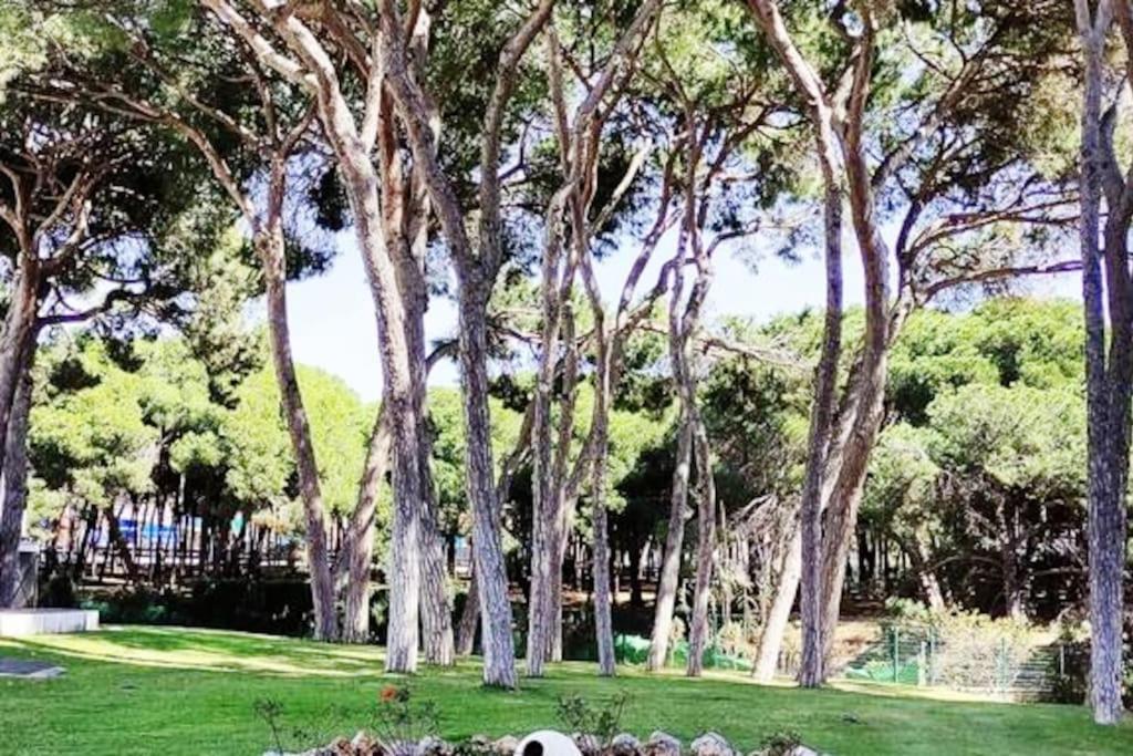 Sitio de Calahonda Algaida Beachfront - Seaview Studio Costa Del Sol 아파트 외부 사진